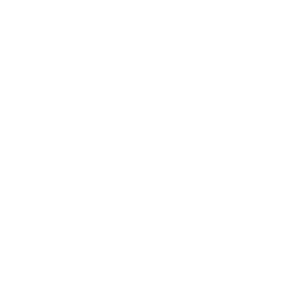 実
